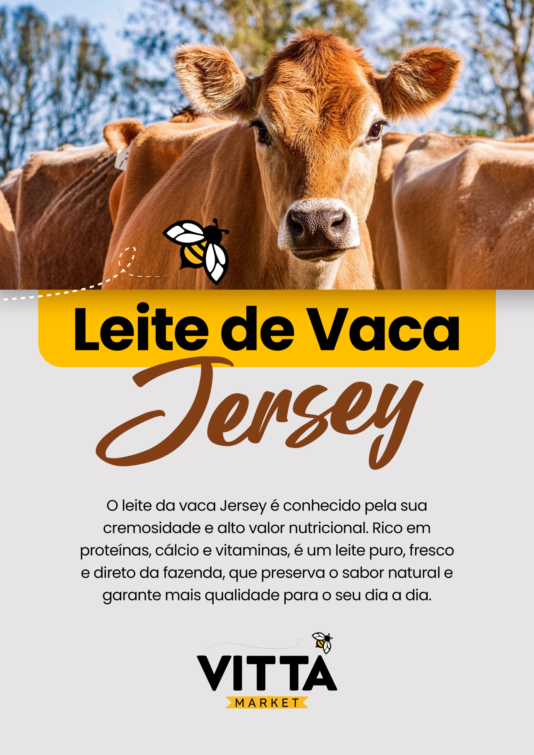 A4 - Leite Jersey