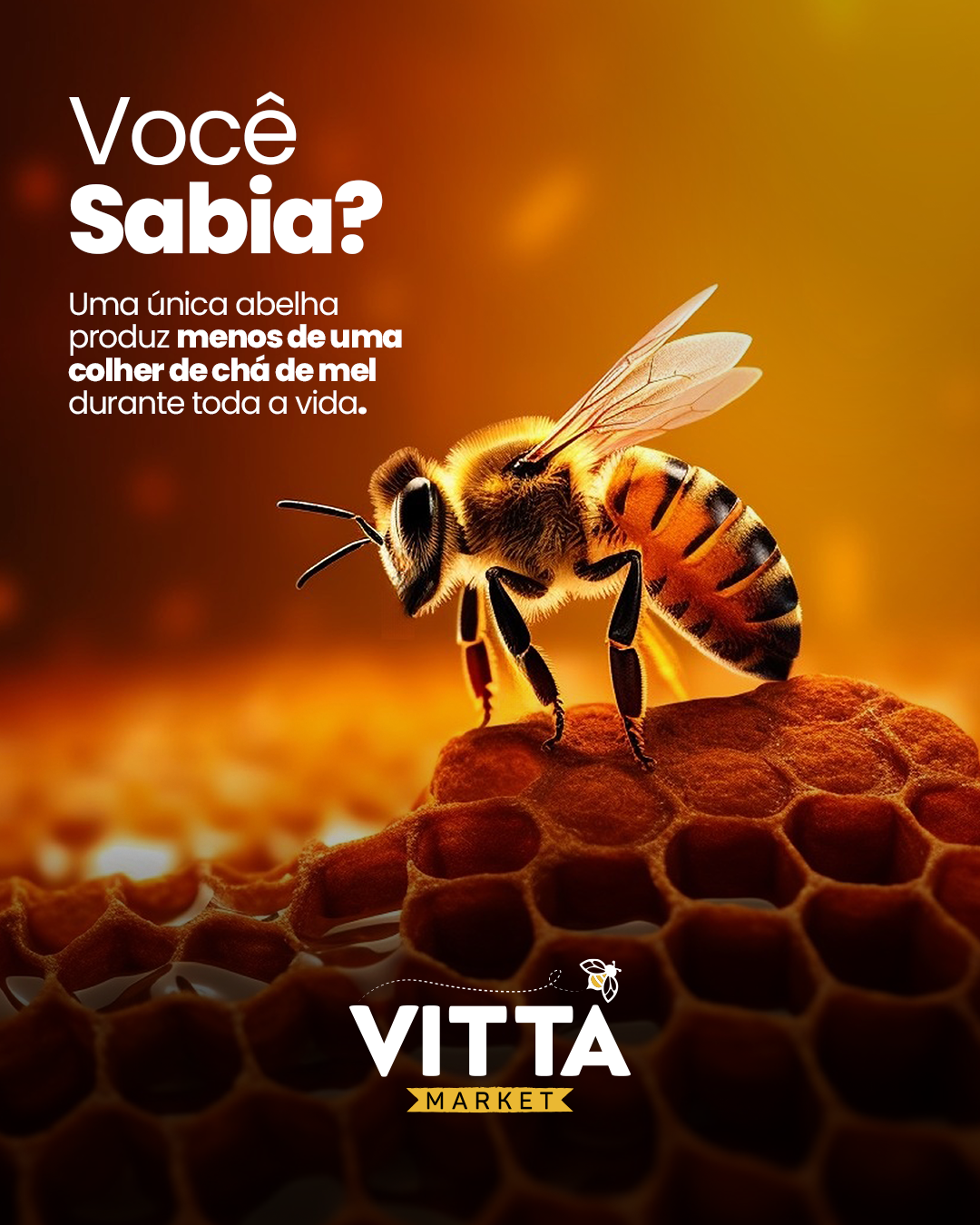 Curiosidade vitta